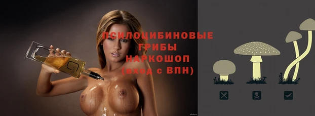 jwh Кадников