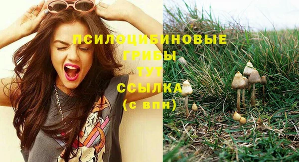 прущие крисы Магадан